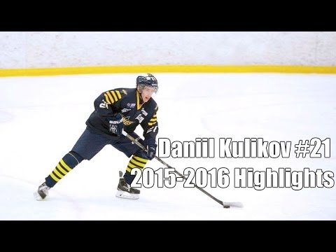 Daniil Kulikov Arlanda Wings 2016-2017 Season Highlights HockeyEttan Sweden  Division 1