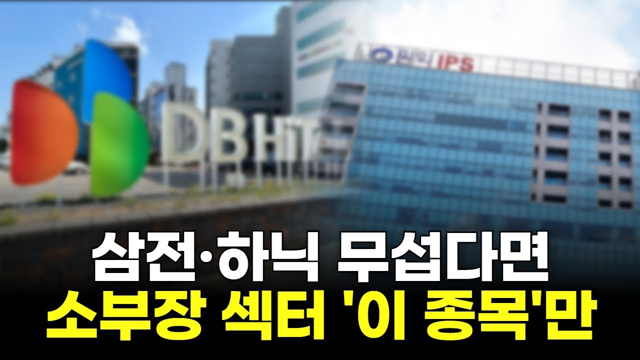 삼성전자·하이닉스는 무섭다면...소부장 섹터 '이 종목'만!