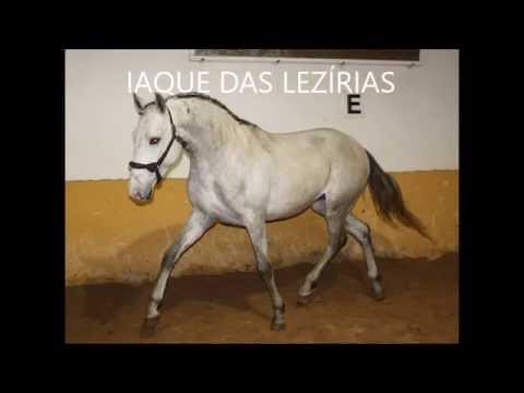 Iaque das Lezírias (Quixote x Uiti das Lezírias) - PSL