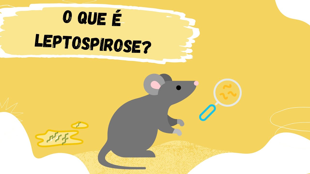 O que é Leptospirose?