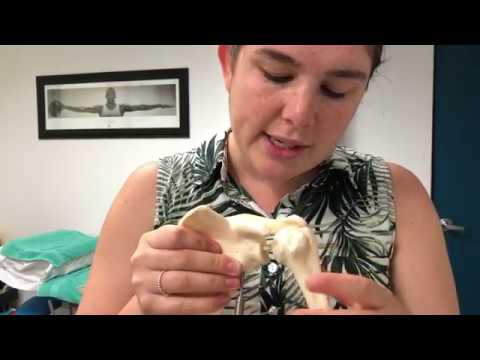 What is a labral tear? Exercises for a glenoid labral tear