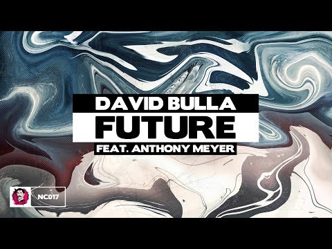 David Bulla - Future (ft. Anthony Meyer)