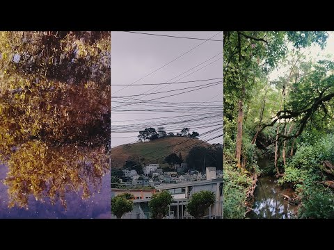 The Kitchen - Mi Chamocha