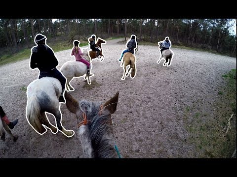 Von Sprengen über Fetzen bis hin zu buckeln - Große Euro