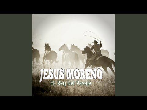 Sentimientos en el Palmar