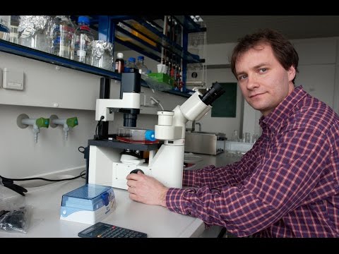 Antipsychotika gegen Krebs - Daniel Krappmann im Interview