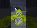 Gorillatagfun Funny Gorillatag Monkey Gorilla Memes Gtag No One Can Do It Better