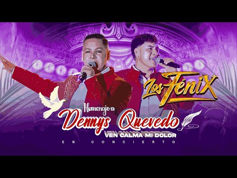 Tribute to Dennys Quevedo - Come Calm My Pain - Los Fénix Group