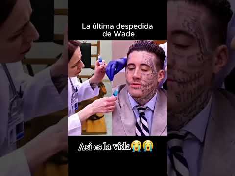 Último día de wade wilson #noticias