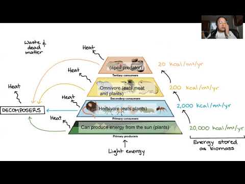 APES Exam Review (1.8-1.11)