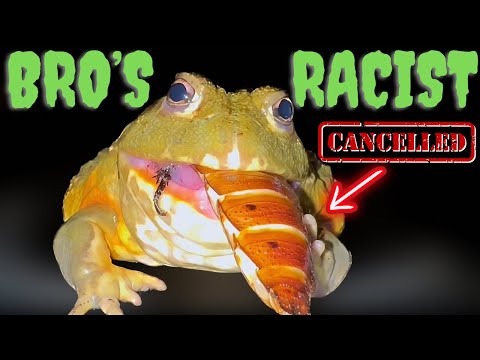 This frog NEEDS to be CANCELLED!!!