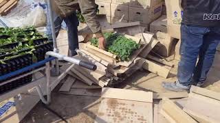 Rural farms in Korea