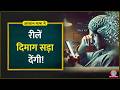 क्या है Brain Rot क्यों Reels देखने वजह से Brain सड़