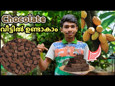 cocoa കായ കൊണ്ട് chocolate വീട്ടിൽ ഉണ്ടാകാം |Chocolate Making At Home |TECHNICAL STUDIO