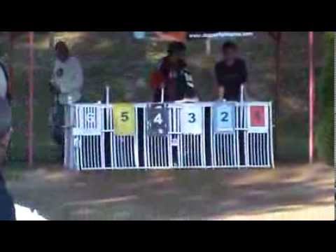 European Derby Consolation - P.R. Grafit TR!!