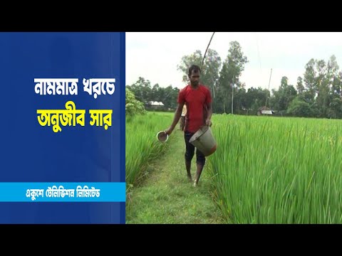 নামমাত্র খরচে প্রাকৃতিক উপায়ে অনুজীব সার প্রয়োগ