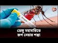 ডেঙ্গু মহামারিতে রূপ নেয়ার শঙ্কা Dengue D