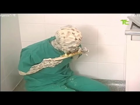 Séptima Puerta: Siempre Joven