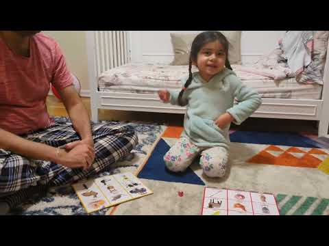 Combinar Fazenda Bingo