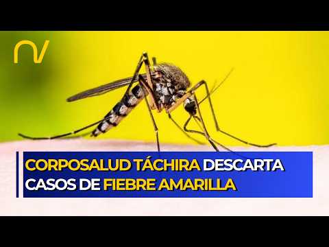 Corposalud Táchira descarta presencia de fiebre amarilla en el estado