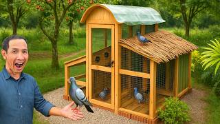 Start up a late life career with a pigeon farming model