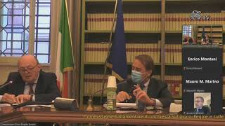 Roma - Audizione del viceministro Gilberto Pichetto Fratin (02.12.21)