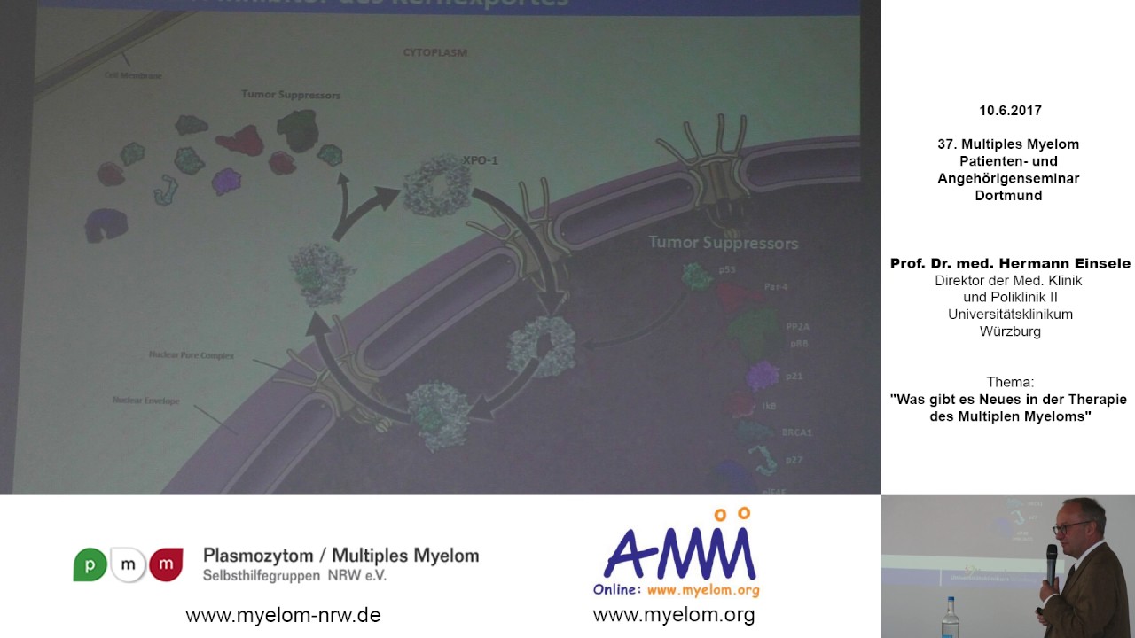 Was gibt es Neues in der Therapie des Multiplen Myeloms 2017?