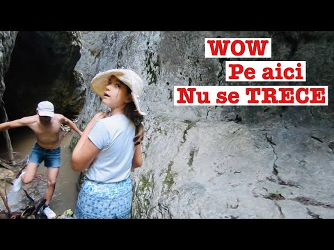 Excursie La Munte cu Copiii 🌞 Rezervatia Naturala “Valea Cheii”