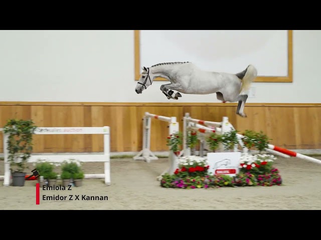 Emiola Z (Emidor x Kannan)