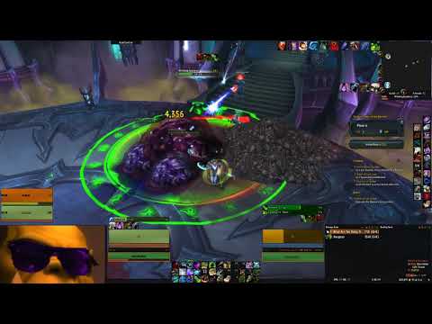 Boomkin in Torghast be like