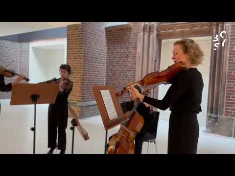 BoSy Adventskalender - Türchen Nr. 5