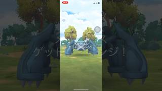 ポケモンGOレイドバトルメタグロスゲットできたかな？ #ポケgo #pokemongo #ポケモンgo #pokemon #ポケゴー #ポケモン #shorts#short #メタグロス