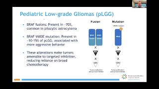 Protecting Tomorrow: Advances in Pediatric Cancer Care | HMH
