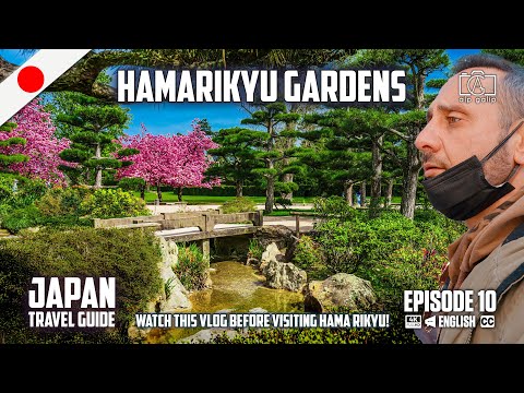 Hamarikyu Gardens Tokyo | Watch this VLOG before visiting Hama Rikyu!