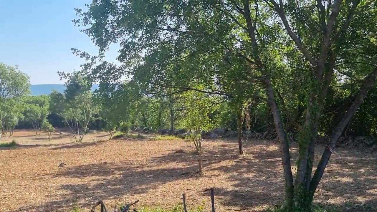 1208m², Plot