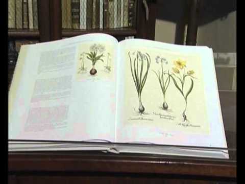 Aboca Museum - Basilius Besler Hortus Eystettensis Commentarium