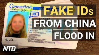 Fake IDs flood into US from China; Hollywood kowtows to China: report; More hurricanes to come