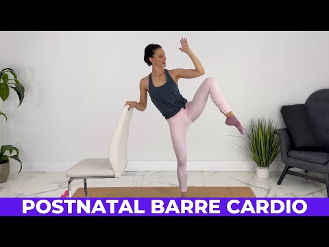 Daily Postpartum Ab Workout 28 Day Challenge