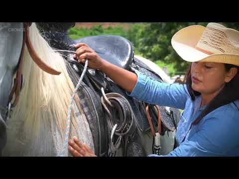 Mis Dos Vicios / Videoclip Oficial - Grupo Tronador