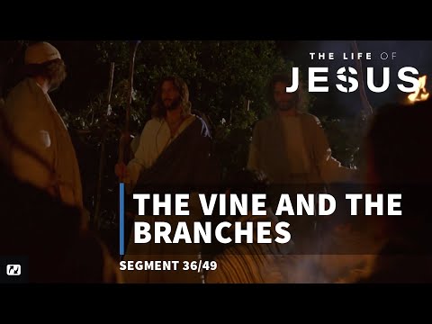 The Vine and the Branches | The Life of Jesus | #36