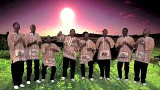 Jimmie Earl Perry- African Dream (Featuring Ladysmith Black Mambazo)