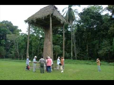 WATU MAMA, LOS PHOENIX DE PETEN GUATEMALA