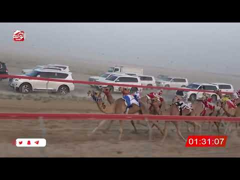 ش 4 (لزام) لـ سهيل عويضه سهيل الخييلي 3:04 , تمهيدي مهرجان العين 2026/07/03 فطامين سويحان