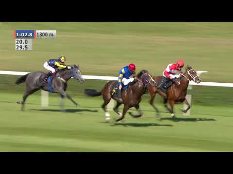 16.08.2020 (D24; G3; Tor: 2,5; 28°C)