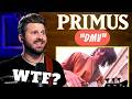 Bass Teacher REACTS to PRIMUS - "DMV"