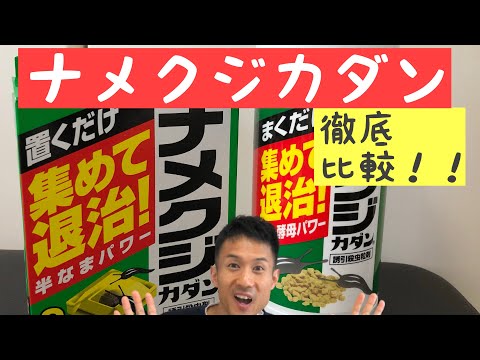 害虫を狩る植物は何ですか?げっ歯類、ナメクジ、昆虫に対する最強の防虫種！  庭園