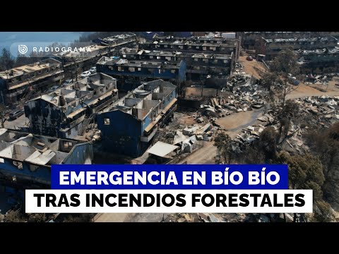 Formalizan a único detenido por incendios en Bío Bío y la emergencia en Penco y Tomé
