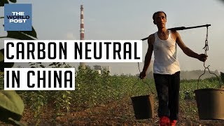 How This Chinese City Is Combatting Climate Change