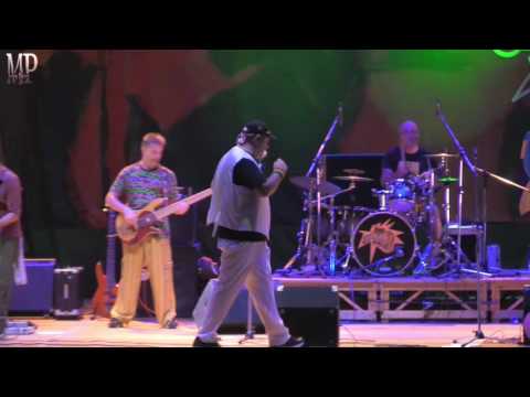 Pitura Stail - La Pianta (Live)