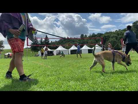 Jovi and Collin and Peter Mens Triples Highlight 2023